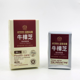 牛樟芝 固態菌絲體膠囊
