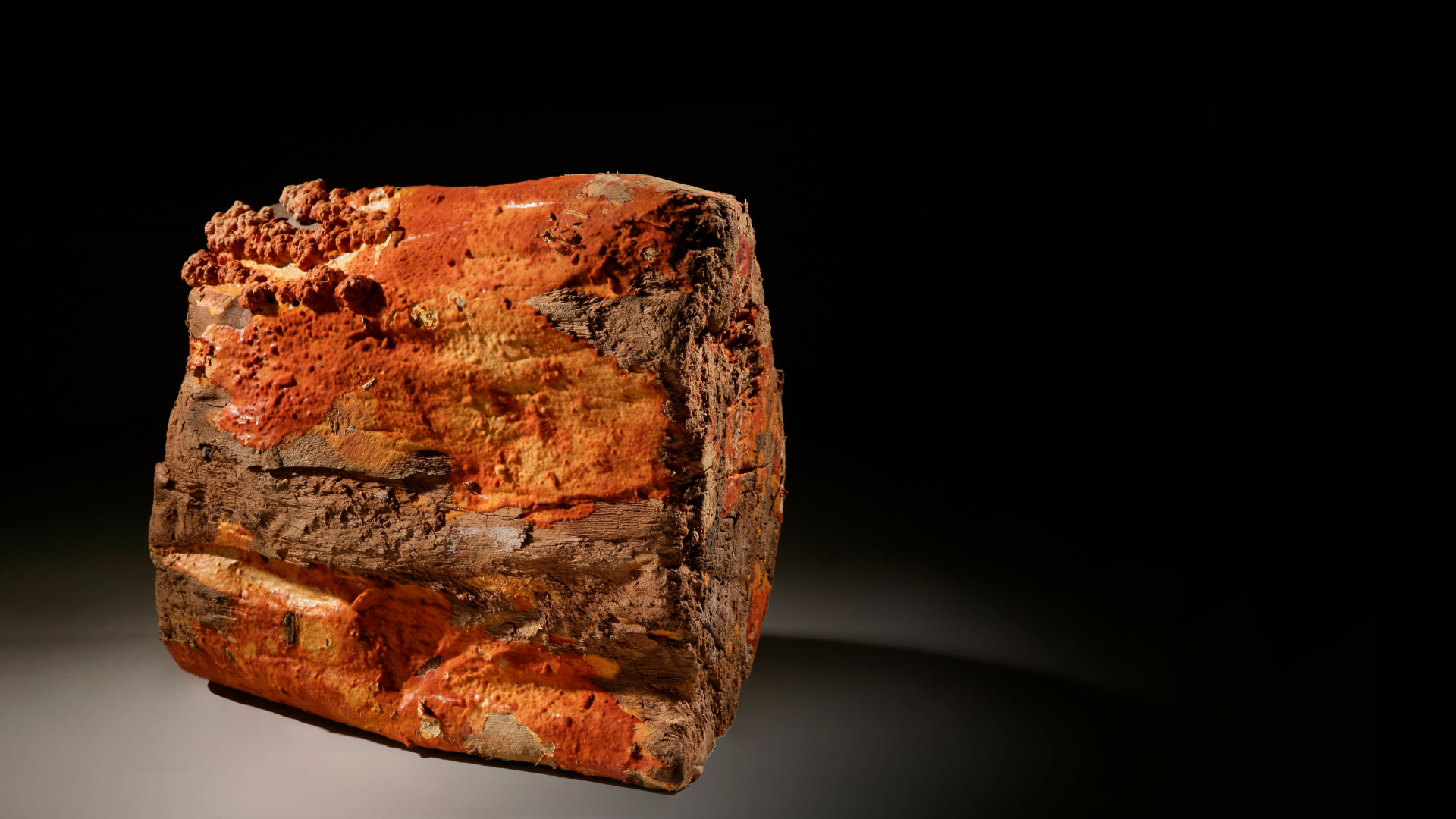 牛耳生技-產品介紹