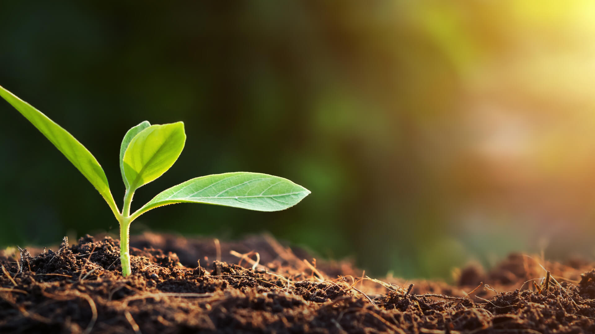 牛耳生技-聯絡我們