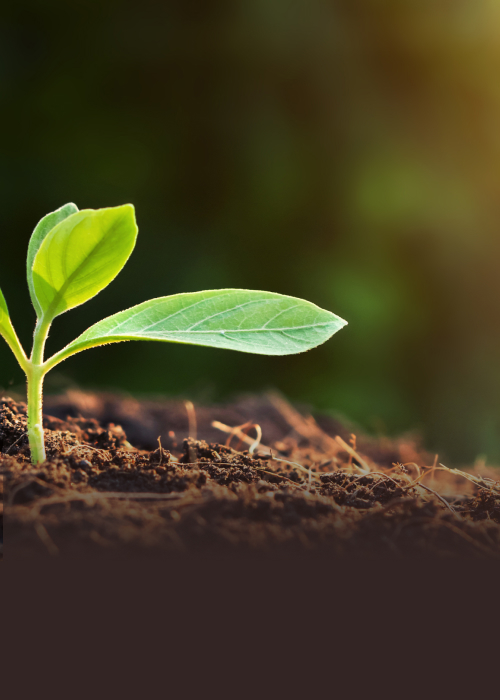 牛耳生技-聯絡我們