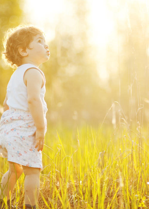 牛耳生技-最新消息