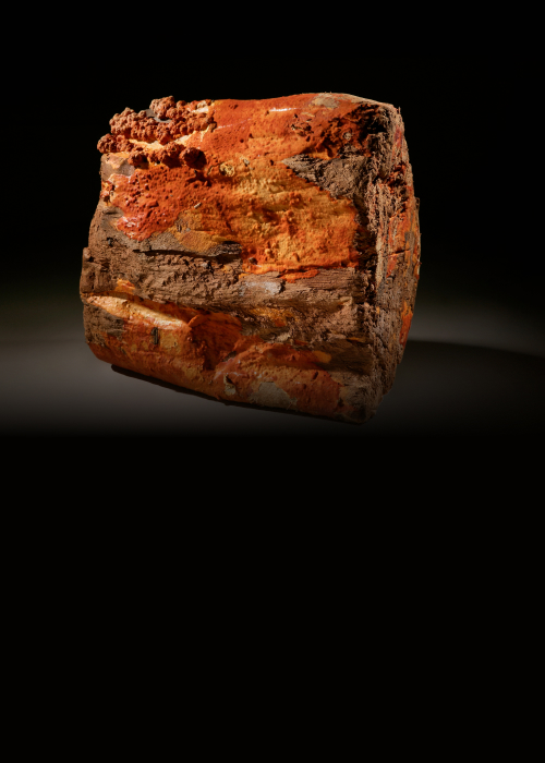 牛耳生技-產品介紹